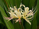 %_tempFileName02-20120902-0208%