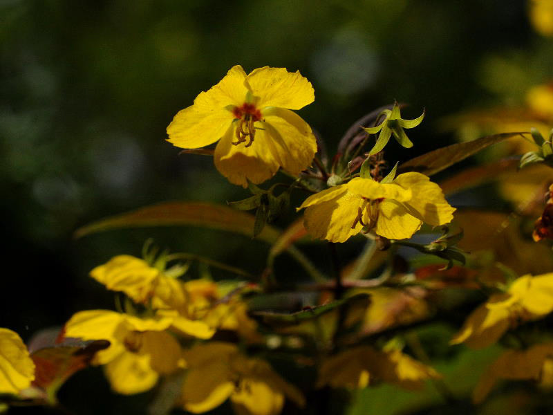 %_tempFileName01-20090711-0627%