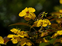 %_tempFileName01-20090711-0627%