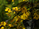 %_tempFileName03-20090711-0629%