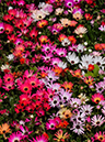 %_tempFileName02-20090506-0246%
