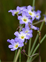 %_tempFileName01-20130420-0318%