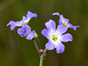 %_tempFileName02-20130420-0319%
