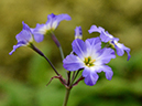 %_tempFileName03-20130420-0320%