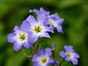 %_tempFileName04-20130420-0321%