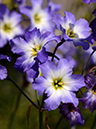 %_tempFileName07-20140419-0150%