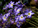 %_tempFileName10-20140506-0181%