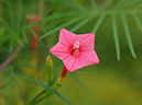 %_tempFileName02-20110814-0108%