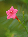 %_tempFileName03-20110814-0109%