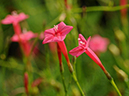 %_tempFileName04-20110919-0135%