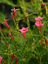 %_tempFileName05-20110919-0136%