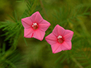 %_tempFileName06-20120902-0172%