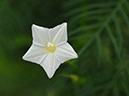%_tempFileName07-20110814-0110%