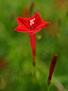 %_tempFileName09-20110919-0130%
