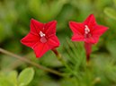 %_tempFileName10-20120902-0170%
