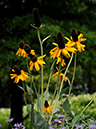%_tempFileName01-20090628-0383%