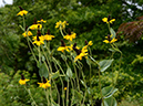 %_tempFileName03-20120623-0226%