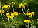 %_tempFileName04-20120623-0227%