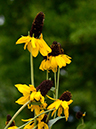 %_tempFileName05-20130630-0239%