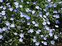 %_tempFileName01-20090506-0241%