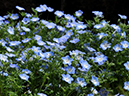 %_tempFileName02-20090506-0242%