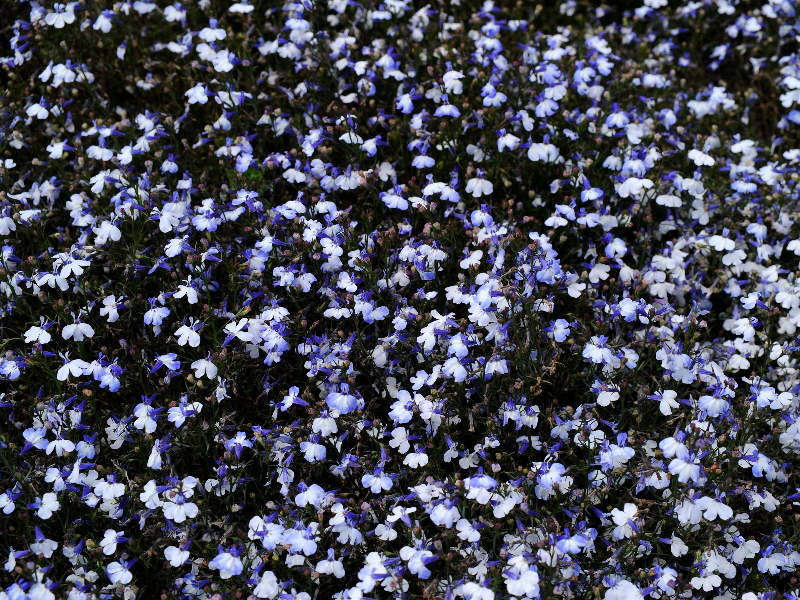 %_tempFileName03-20090607-0164%