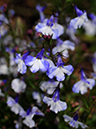 %_tempFileName01-20090506-0248%