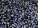 %_tempFileName03-20090607-0164%