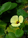 %_tempFileName01-20060218-0475%