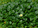 %_tempFileName02-20060218-0473%
