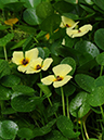%_tempFileName03-20090506-0057%