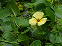 %_tempFileName04-20100313-0190%