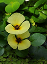 %_tempFileName05-20100322-0452%