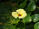 %_tempFileName06-20100322-0454%