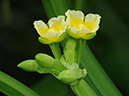 %_tempFileName02-20110409-0220%