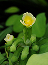 %_tempFileName03-20110409-0221%