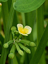 %_tempFileName04-20120603-0185%