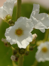 %_tempFileName02-20050820-0342%