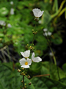 %_tempFileName03-20090628-0278%