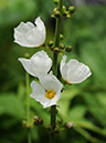 %_tempFileName04-20090628-0279%