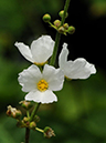 %_tempFileName05-20090628-0280%