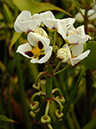 %_tempFileName01-20071014-0131%