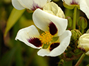 %_tempFileName02-20071014-0131%