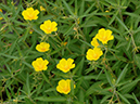 %_tempFileName01-20070701-0451%