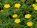 %_tempFileName02-20070701-0454%