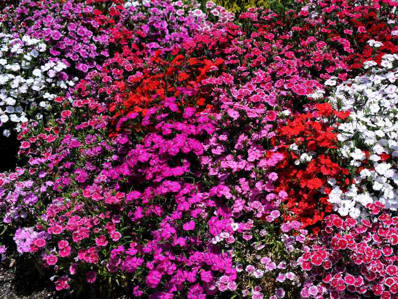 %_tempFileName01-20080506-0314%