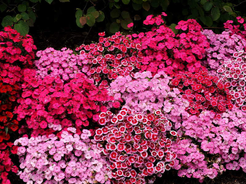 %_tempFileName02-20090506-0305%