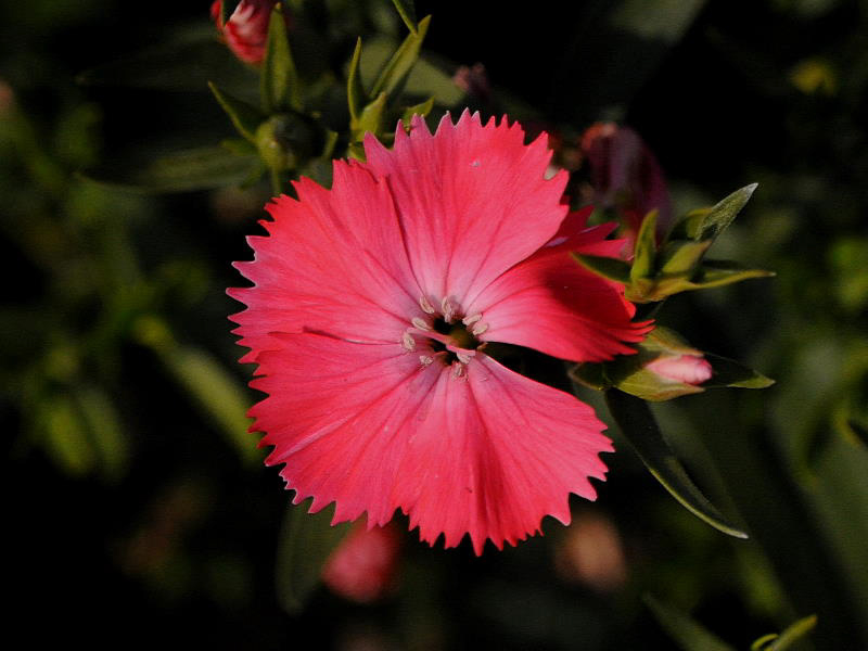 %_tempFileName07-20100111-0479%