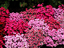 %_tempFileName02-20090506-0305%