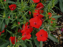 %_tempFileName04-20091213-0458%